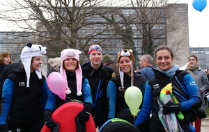 DESCENTE DU RHONE LE 18 JANVIER 2015