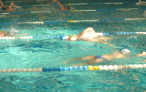 ASC NATATION à Caluire le 14 février 2017....