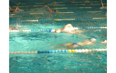 ASC NATATION à Caluire le 14 février 2017....